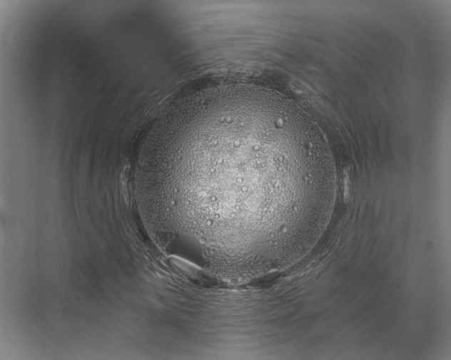 X0000073421059200608041018