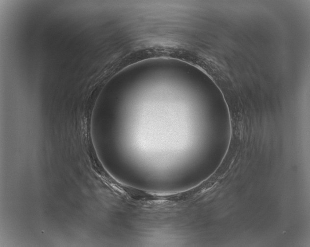 X0000073421061200608041018