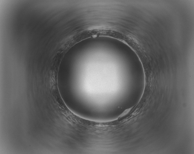 X0000073421062200608041018