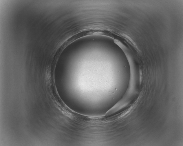 X0000073421065200608041018