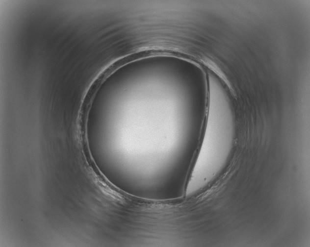 X0000073421068200608041018