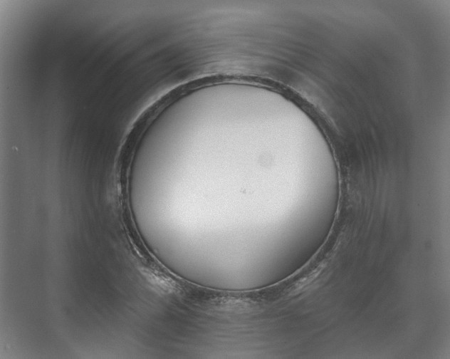 X0000073421070200608041018