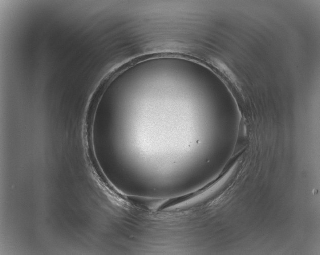 X0000073421072200608041018