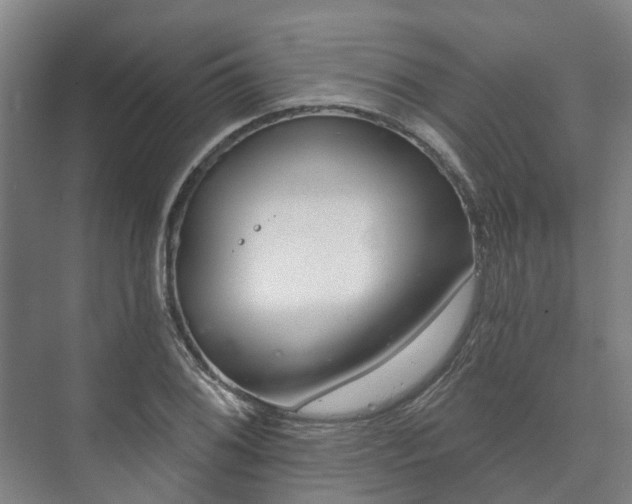 X0000073421076200608041018