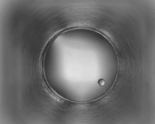 X0000073421078200608041018