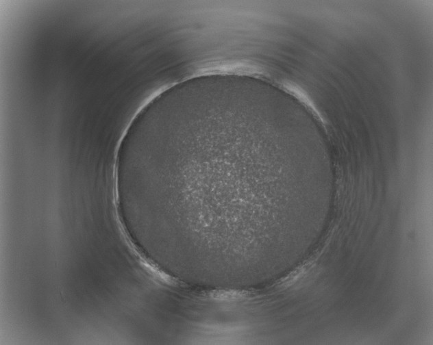 X0000073421079200608041018