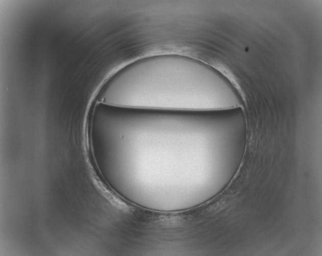 X0000073421080200608041018