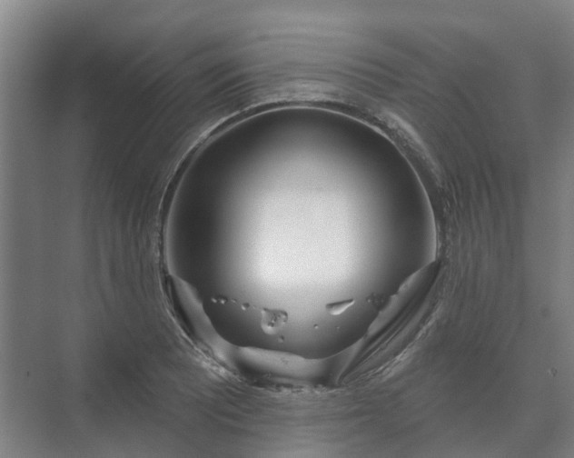 X0000073421081200608041018