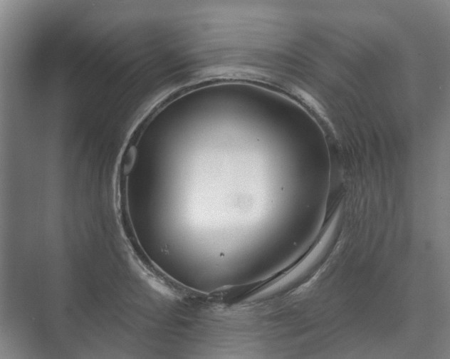 X0000073421082200608041018