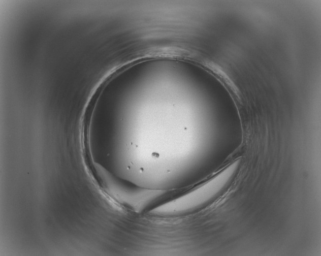 X0000073421083200608041018