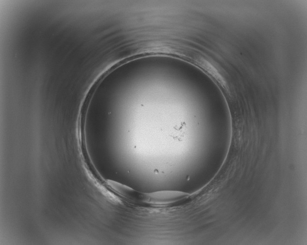 X0000073421084200608041018