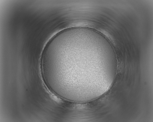 X0000073421086200608041018