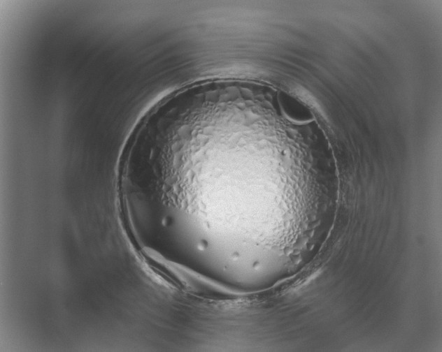 X0000073421087200608041018