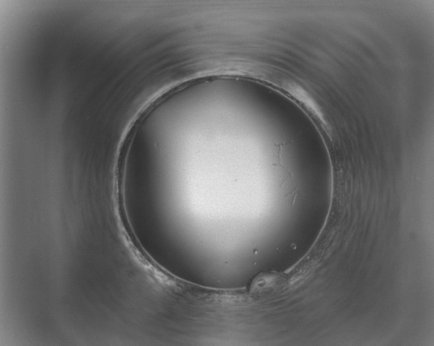 X0000073421088200608041018