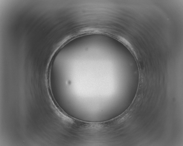 X0000073421090200608041018