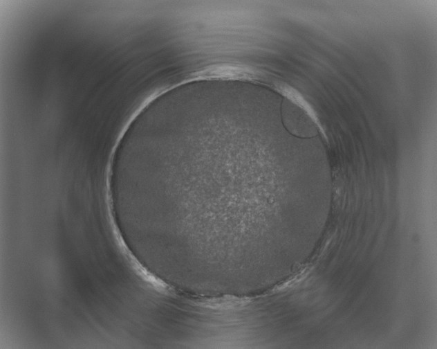 X0000073421091200608041018