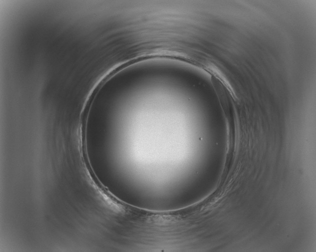 X0000073421092200608041018