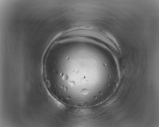 X0000073421095200608041018