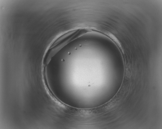 X0000073421096200608041018