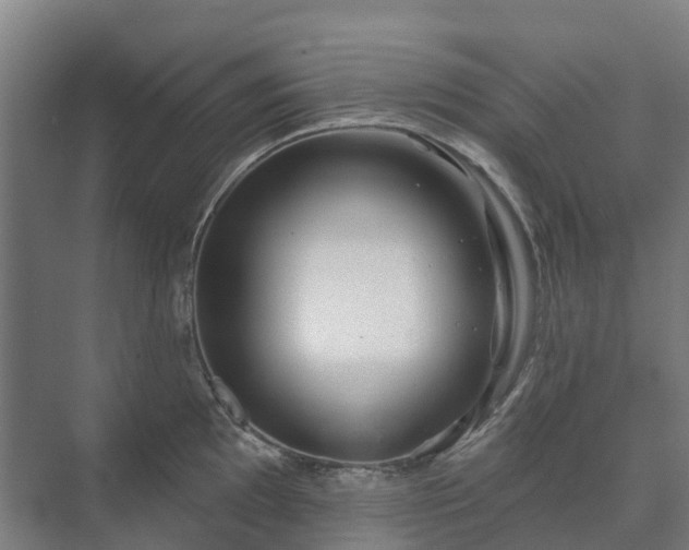 X0000073421097200608041018