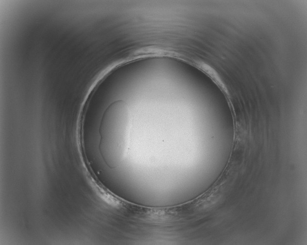 X0000073421098200608041018