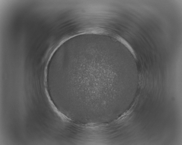 X0000073421099200608041018