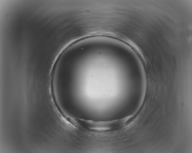 X0000073421102200608041018