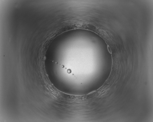 X0000073421105200608041017