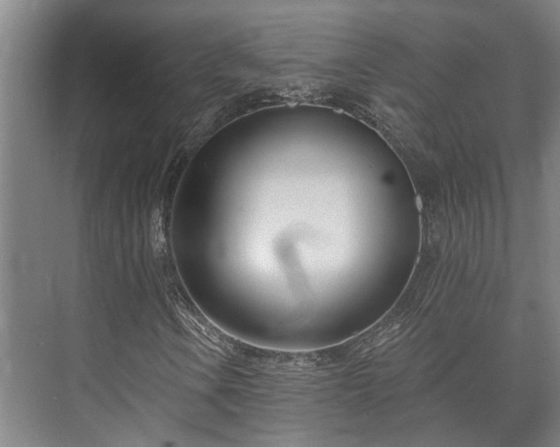 X0000073421106200608041017