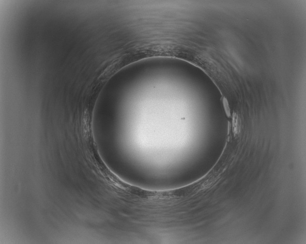 X0000073421107200608041017