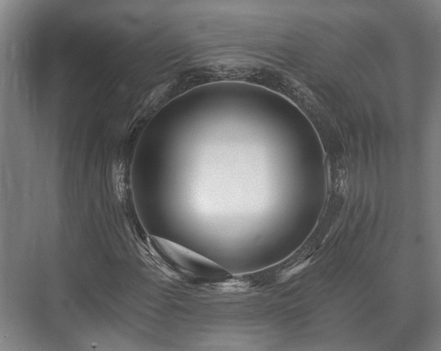 X0000073421108200608041017