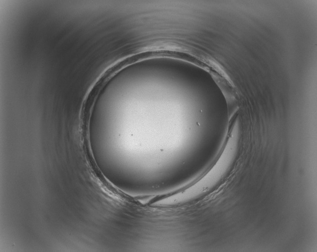 X0000073421116200608041017