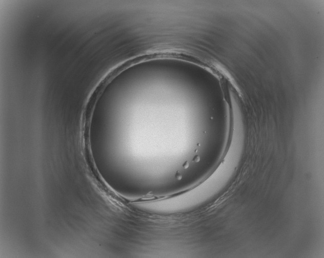 X0000073421124200608041017