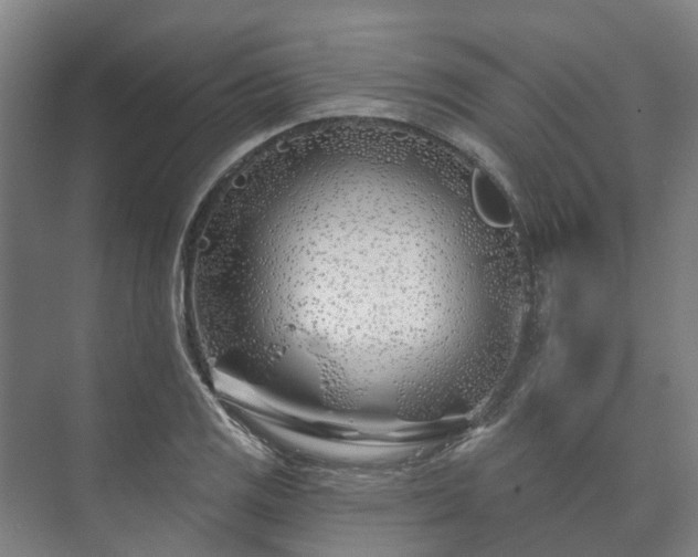 X0000073421125200608041017