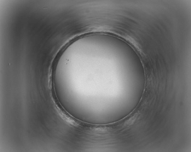 X0000073421126200608041017