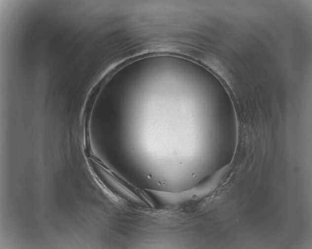 X0000073421127200608041017