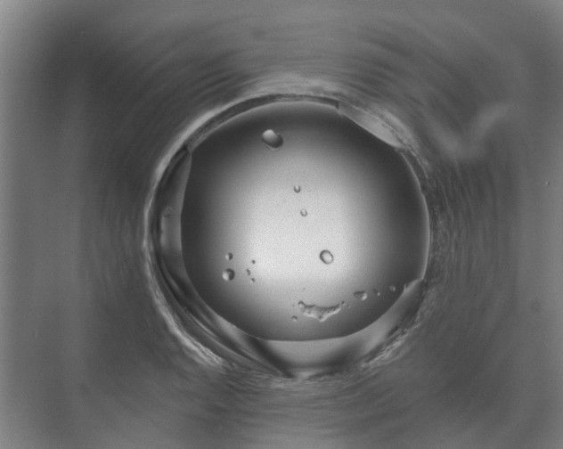 X0000073421128200608041017