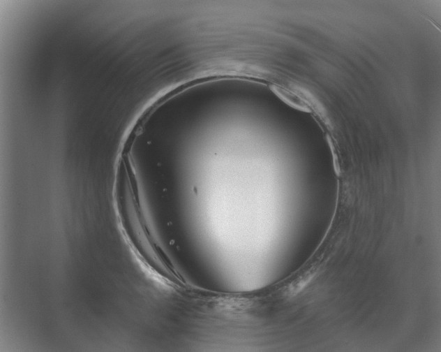 X0000073421136200608041017