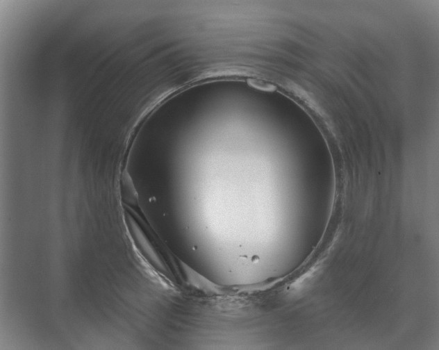 X0000073421137200608041017