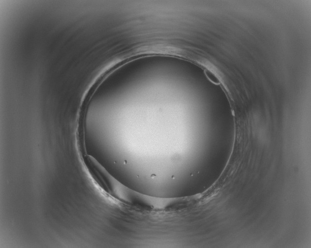 X0000073421139200608041017