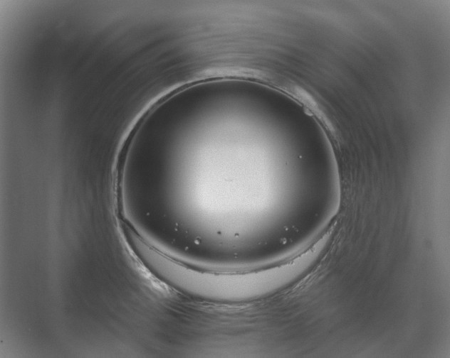 X0000073421140200608041017