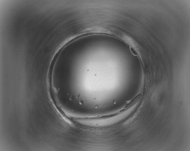 X0000073421141200608041017