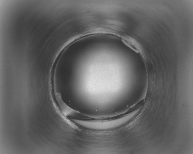 X0000073421142200608041017