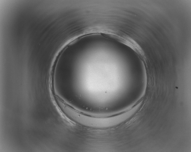 X0000073421144200608041017