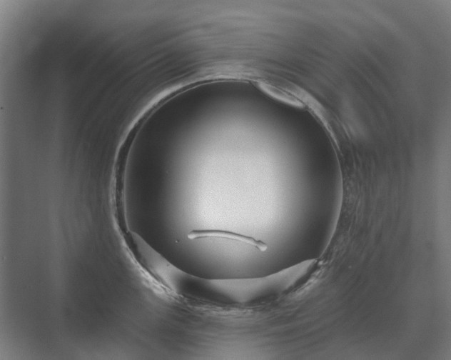 X0000073421147200608041018