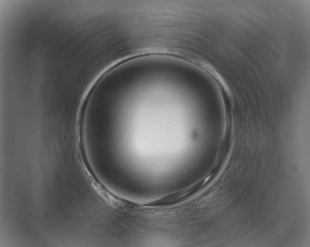 X0000073421148200608041018