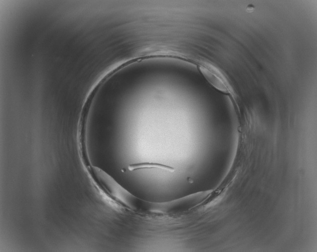 X0000073421149200608041018