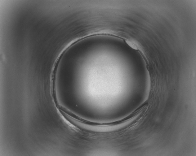 X0000073421151200608041018