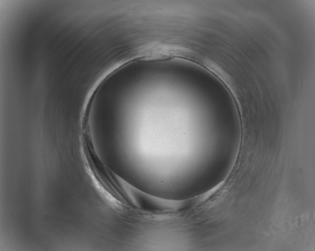 X0000073421152200608041018