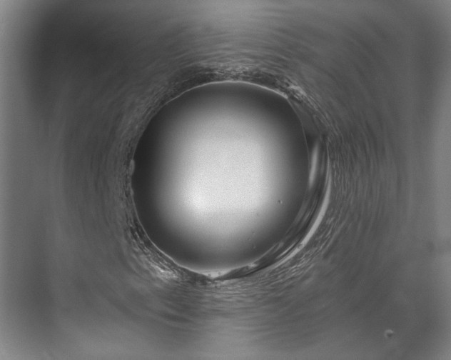 X0000073421153200608041017